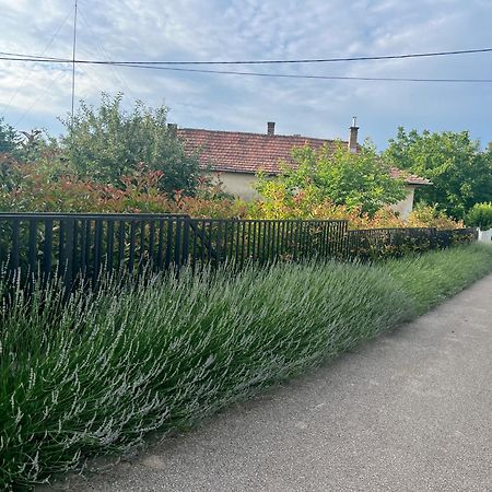 Neon Apartman Csopak Balaton Bagian luar foto